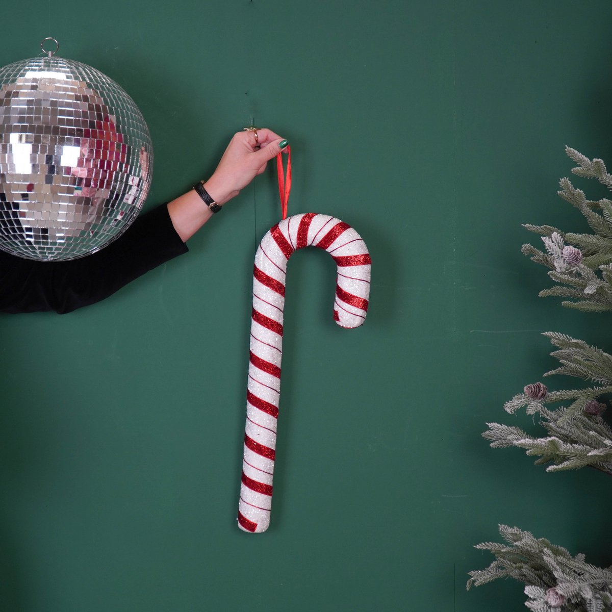 Zuckerstange – 52 cm