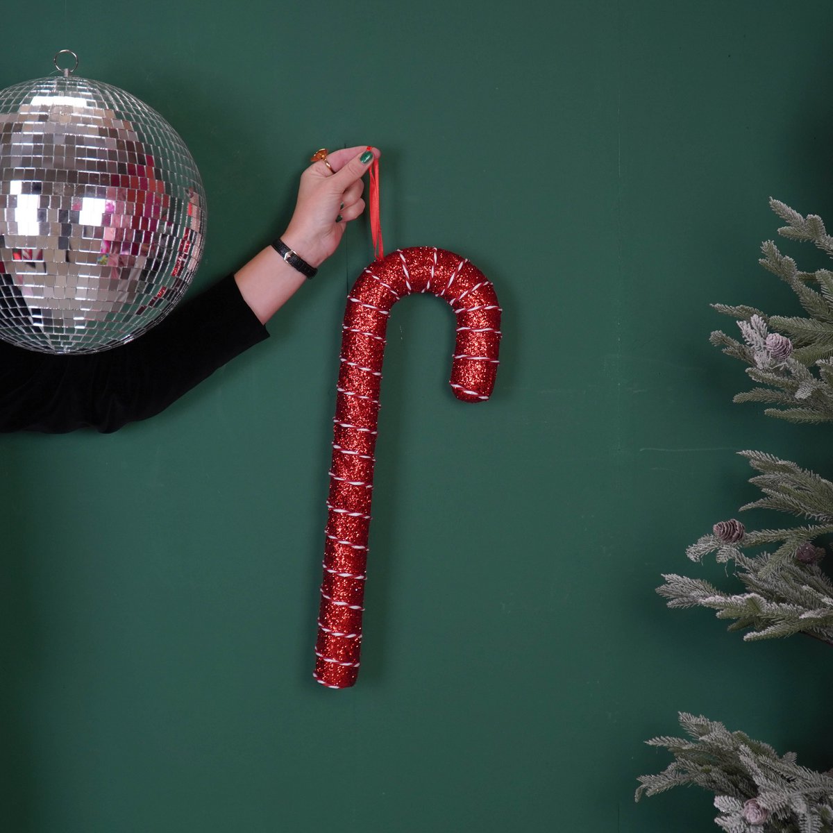 Zuckerstange – 52 cm